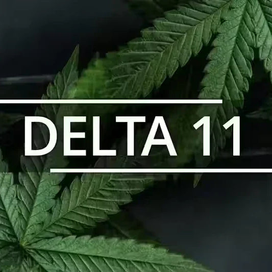 Delta 11: What We Know So Far — 2026 Update