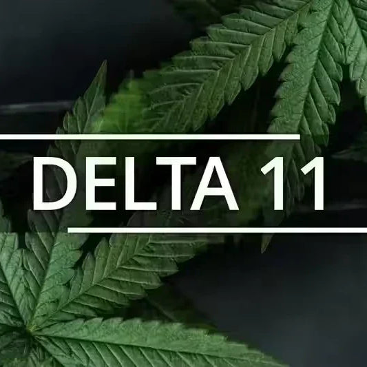 Delta 11: What We Know So Far — 2026 Update