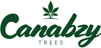 Canabzy Review: Honest Take on THC Product