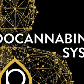Delta 11’s Role in the Endocannabinoid System — 2026 Update