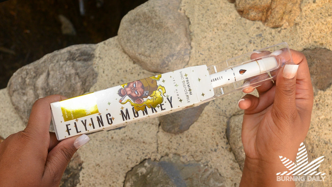 Flying Monkey Review