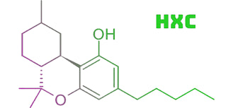 HXC's Interaction with Other Cannabinoids: Unlocking the Synergistic Potential