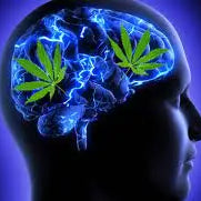 THC-O and Mental Health: Exploring the Potential and Risks — 2026 Update