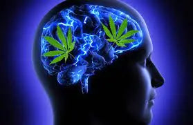THC-O and Mental Health: Exploring the Potential and Risks — 2026 Update