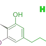 HXC’s Interaction with Other Cannabinoids: Unlocking the Synergistic Potential — 2026 Update