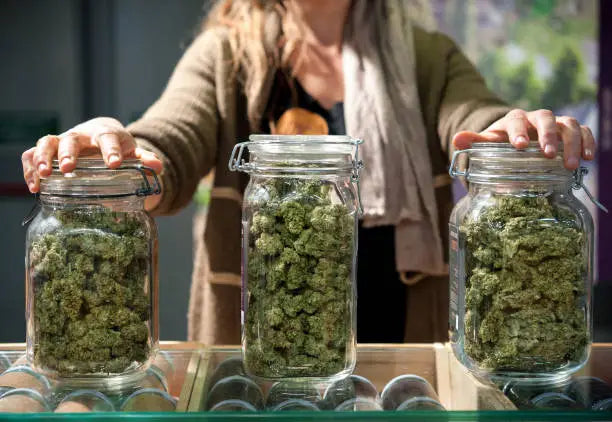 Guide to Storing Hemp Products: Ensuring CBD Potency — 2026 Update