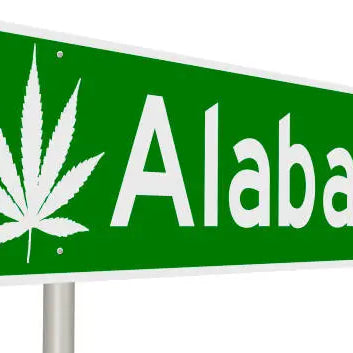 Is THCA Legal in Alabama? Know Your Rights