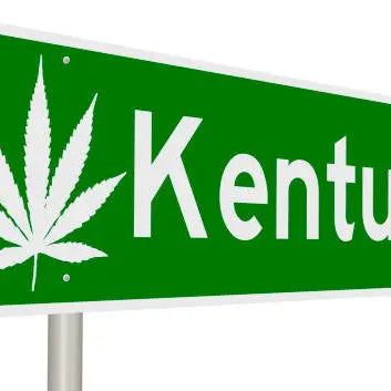 Is Delta 10 Legal in Kentucky? Your Guide to THC Laws