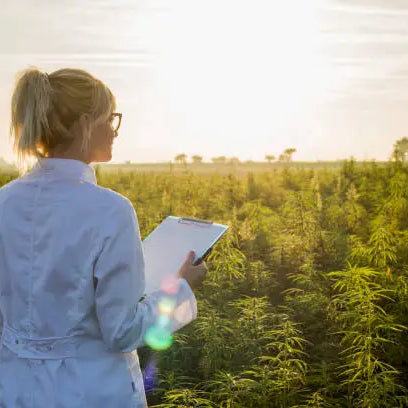 The Future of Hemp Research — 2026 Update