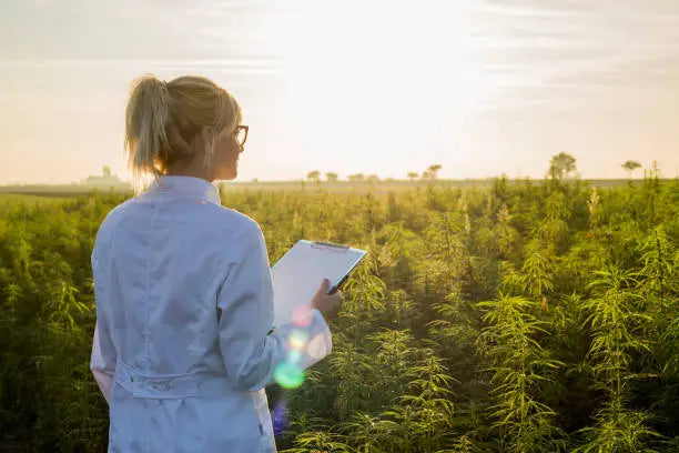 The Future of Hemp Research — 2026 Update