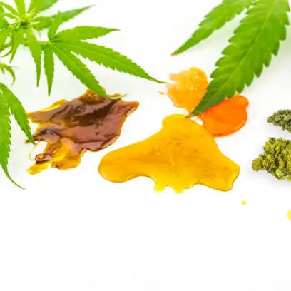 Live Resin vs Rosin: A Breakdown of Cannabis Concentrates — 2026 Update