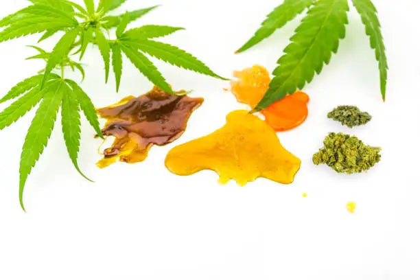 Live Resin vs Rosin: A Breakdown of Cannabis Concentrates — 2026 Update
