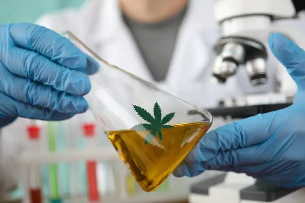 The Science Behind Delta 8, Delta 10, and Other Hemp Derivatives — 2026 Update