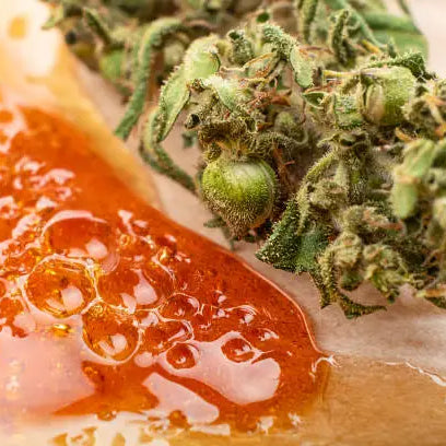 Is Live Resin Dangerous? Unpacking the Risks and Benefits — 2026 Update