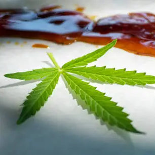 HTE vs Live Resin: A Comparison of Cannabis Concentrates — 2026 Update