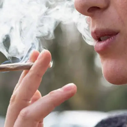 Does THCA Turn Into Delta 9 When Smoked? — 2026 Update