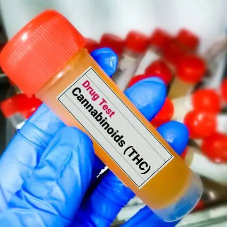 What Can Cause a Positive THC Urine Test? — 2026 Update