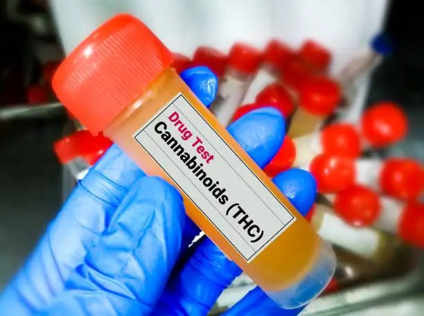 What Can Cause a Positive THC Urine Test? — 2026 Update