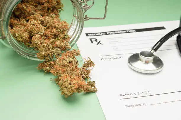 How Long Does THC-P Stay in Your System?
