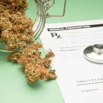 How Long Does THC-P Stay in Your System? — 2026 Update