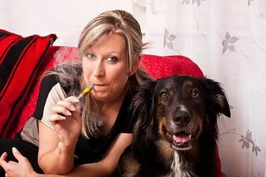 Can Dogs Get High?