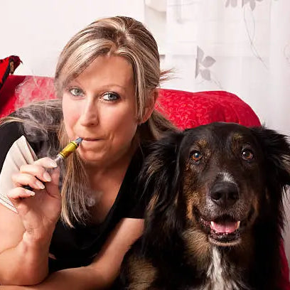 Can Dogs Get High? — 2026 Update
