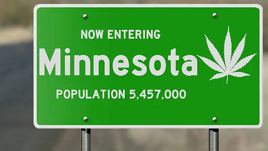 Is HHC Legal In Minnesota? A Guide to Hemp Laws