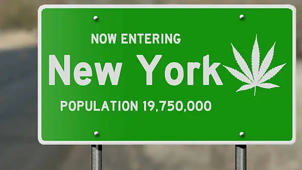 Is HHC Legal In New York? Decoding Hemp Laws