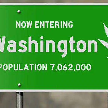 Is Delta 10 Legal in Washington? A Guide to THC Laws