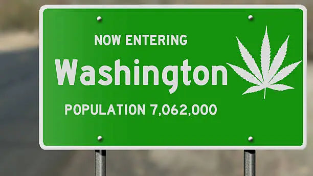 Is Delta 10 Legal in Washington? A Guide to THC Laws