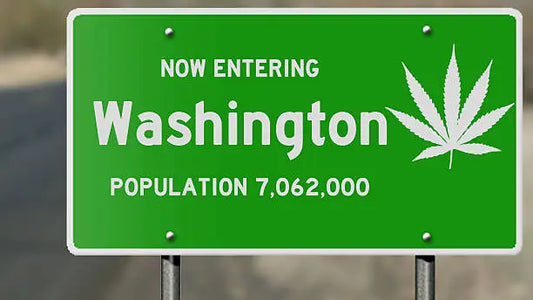 Is Delta 10 Legal in Washington? A Guide to THC Laws