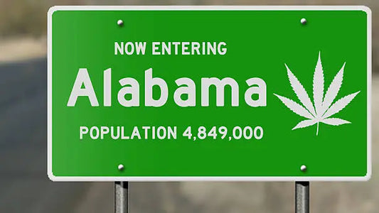 Is HHC Legal in Alabama? (2025 Updated Guide)