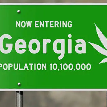 Is THCA Legal in Georgia? Comprehensive Guide to State Laws