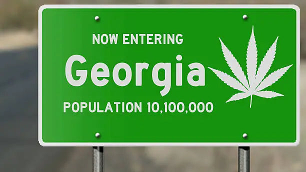 Is THCA Legal in Georgia? Comprehensive Guide to State Laws