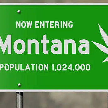 Is HHC Legal In Montana? Decoding State's Cannabis Laws