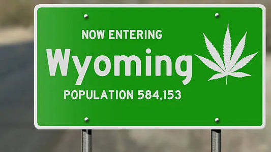 Is THCA Legal in Wyoming? Exploring the Legal Landscape