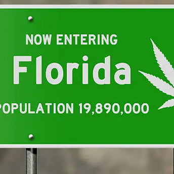 Is HHC Legal In Florida? Understanding Laws and Usage