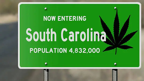 Is HHC Legal In South Carolina? A Detailed Overview