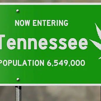 Is Delta 10 Legal In Tennessee? Navigating the Hemp Lawscape