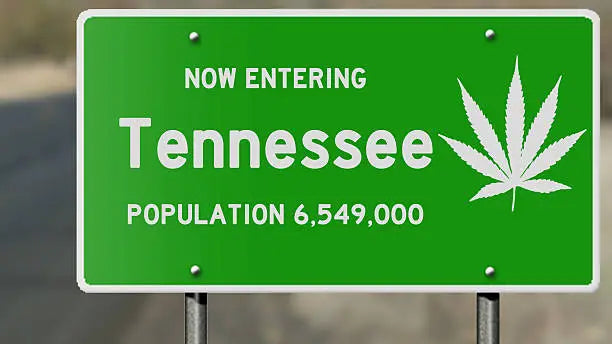 Is Delta 10 Legal In Tennessee? Navigating the Hemp Lawscape