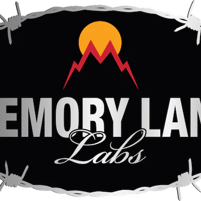 Memory Lane Platinum Disposable Review — 2026 Update