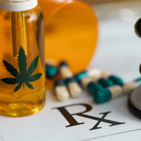 PHC in Holistic Health: Unlocking the Potential of Cannabinoid Therapy — 2026 Update