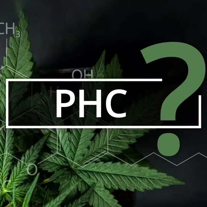 PHC: Potential Uses and Benefits — 2026 Update
