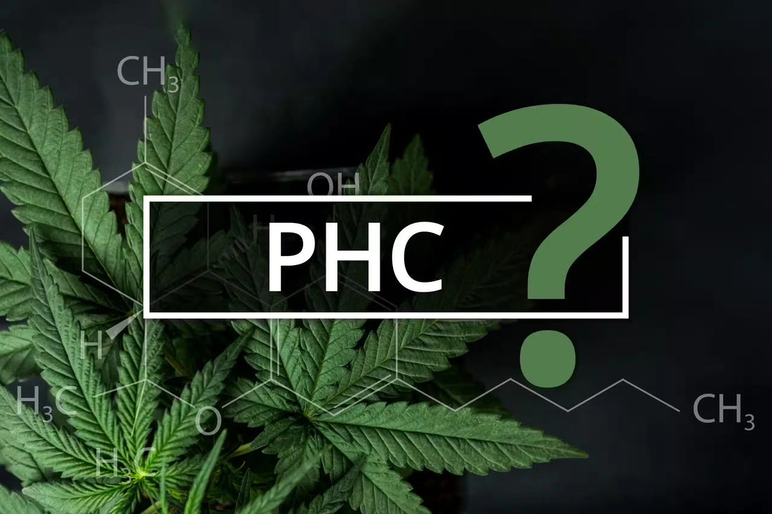 A Guide to PHC: THC-Like Benefits Without the High