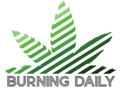 Is THCA Legal in Pennsylvania? Navigating Cannabis Laws | Burning Daily