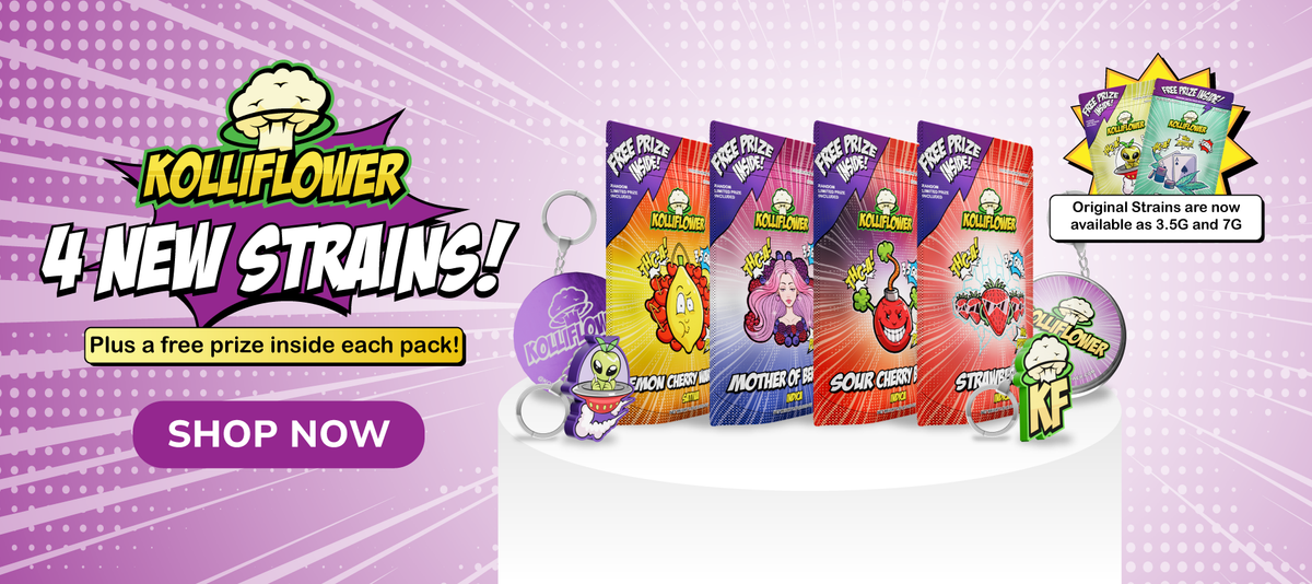 burning daily banner 1