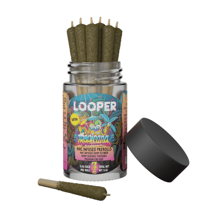 Looper - Dosed - HHC - Preroll - Tropicana Infused - 3.5g